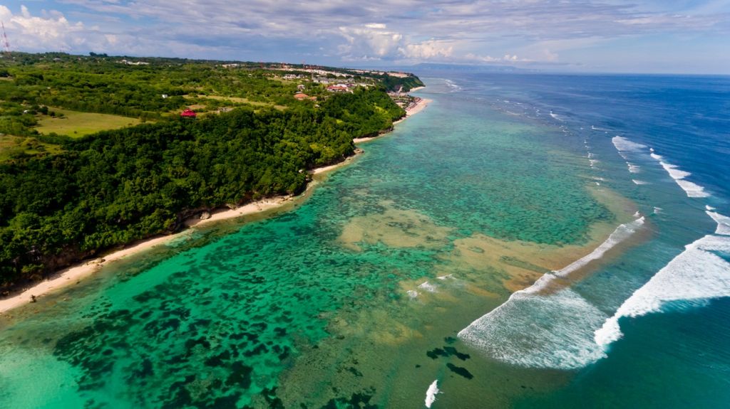 Green Bowl Bali