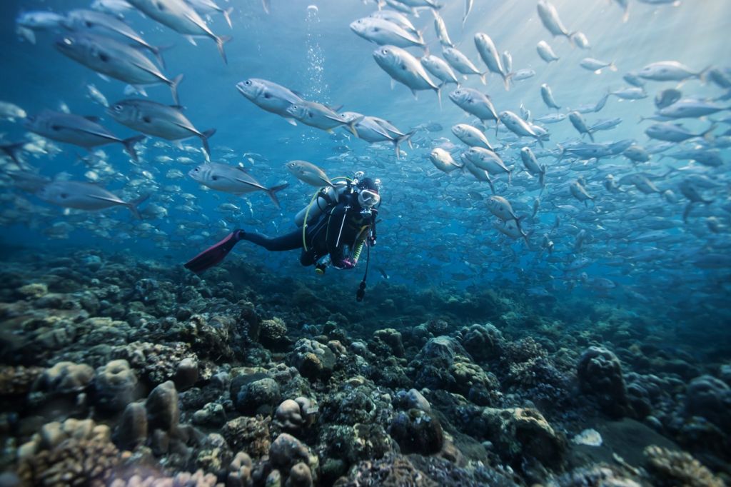 The 10 best dive sites in Asia