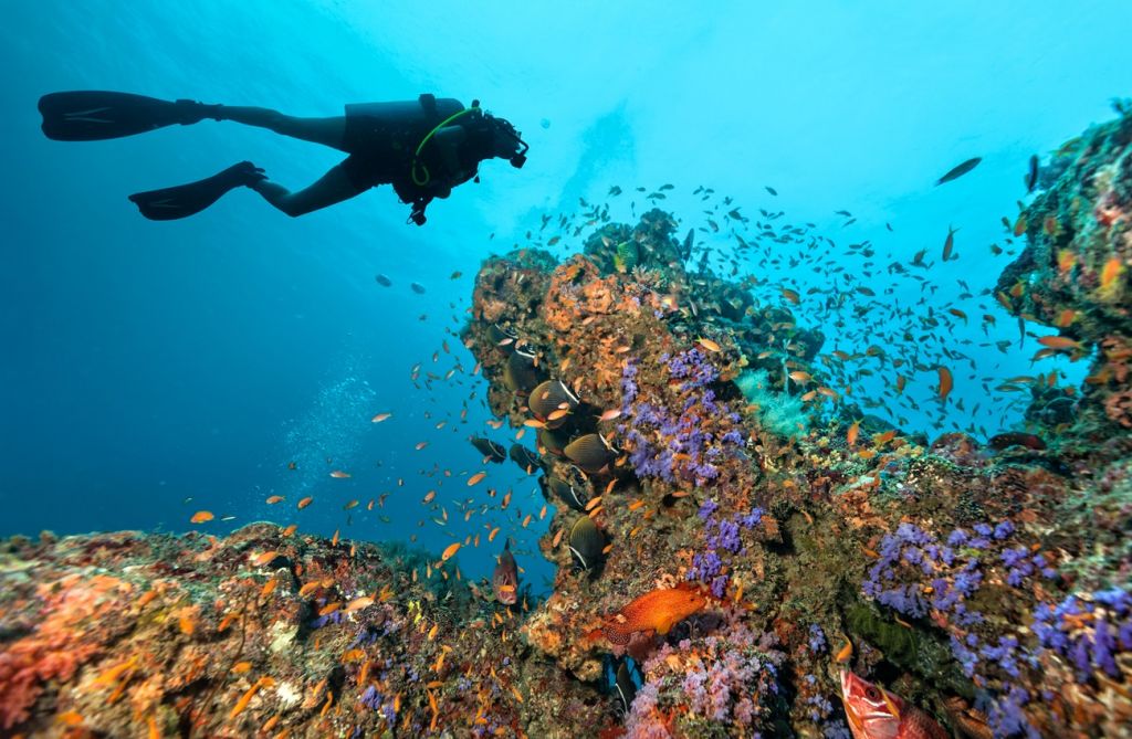 scuba Seychelles