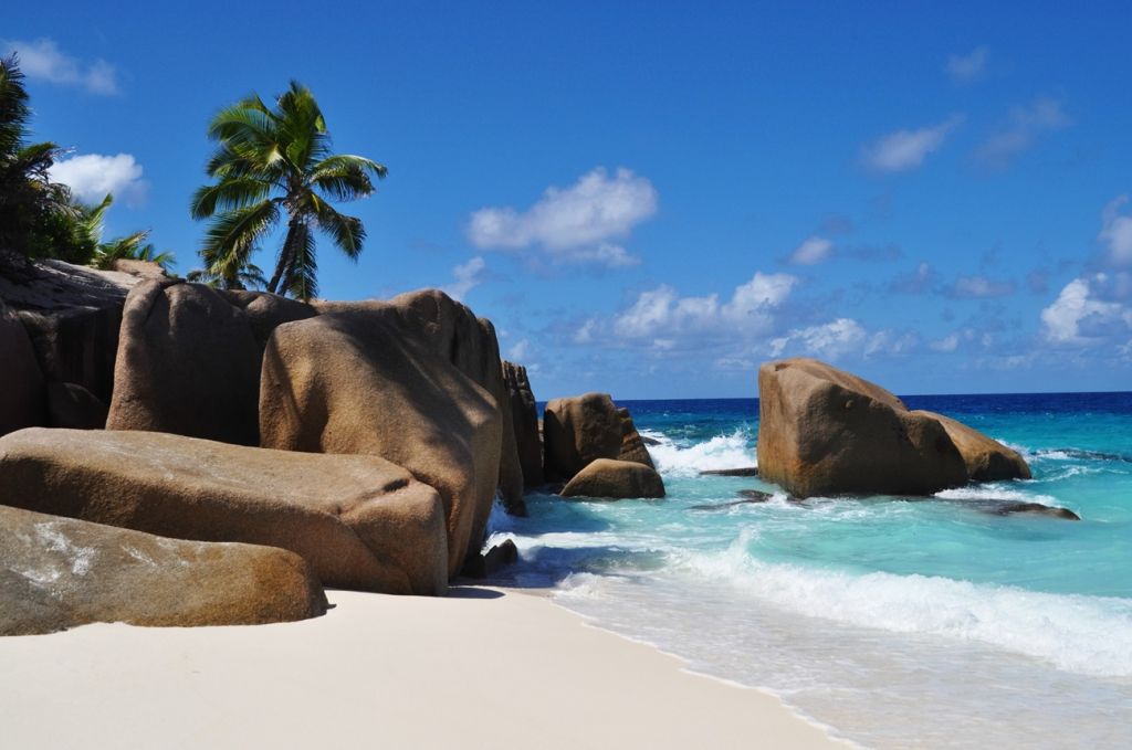 Cousin Island Seychelles