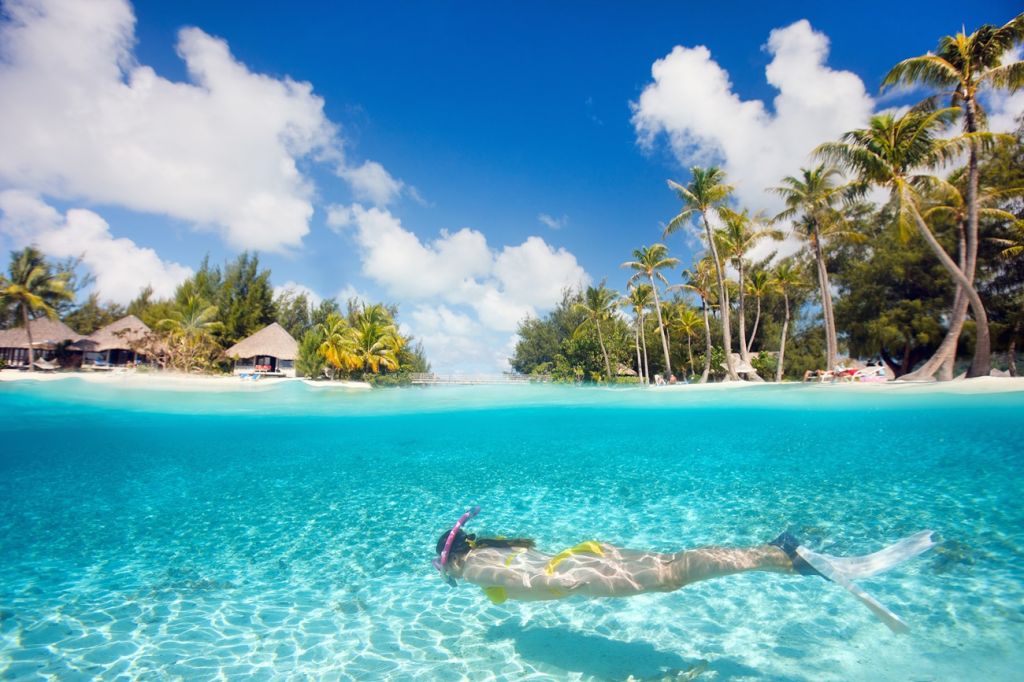 Diving Or Snorkelling Maldives