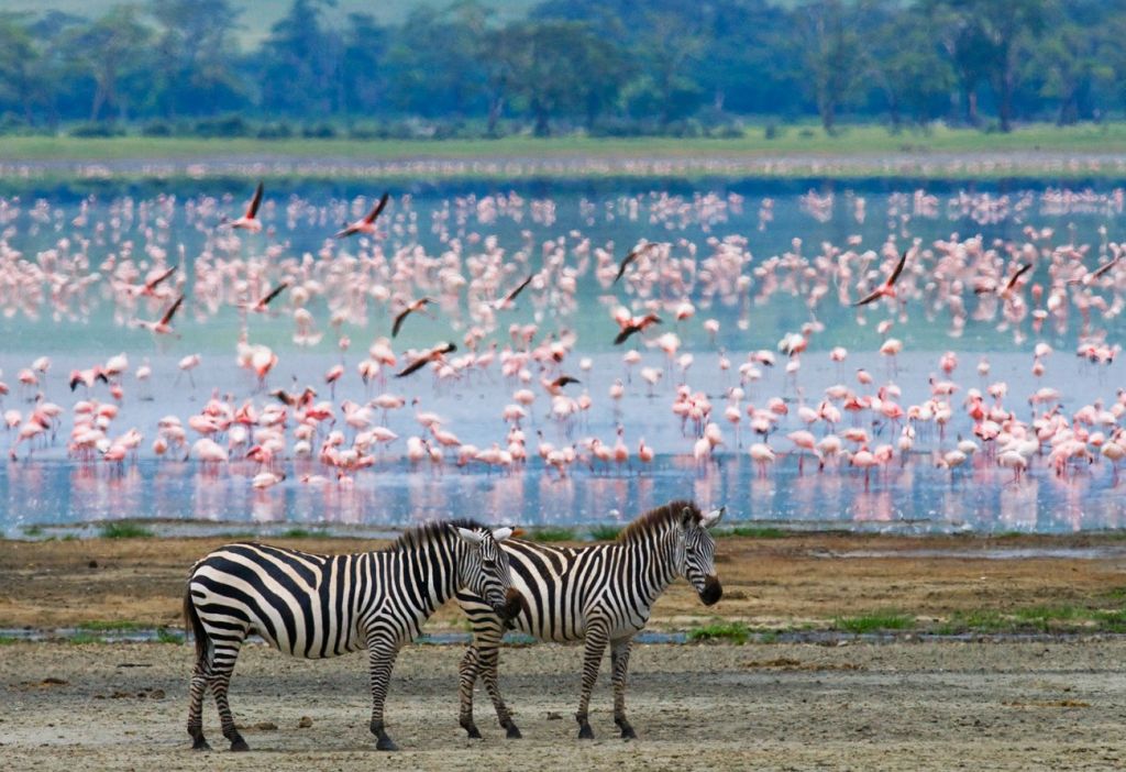 Maasai Mara National Reserve, Kenya