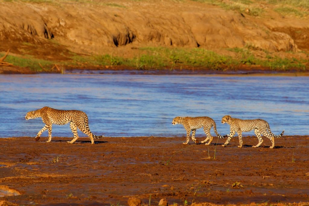 Ewaso Ngi’ro Kenya